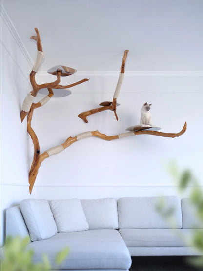 Beauty, quality, durability cat furniture